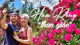 Hàm Rồng “thức giấc”