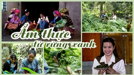 Ẩm thực từ rừng xanh