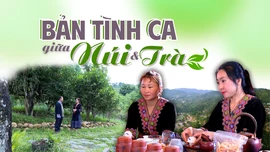 Bản tình ca giữa núi và trà