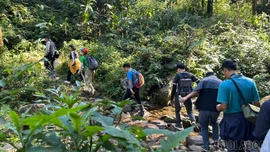 Lào Cai tạm dừng hoặc điều chỉnh lịch trình tour du lịch tại khu vực nguy hiểm
