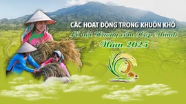 INFOGRAPHIC: Các hoạt động trong khuôn khổ Lễ hội Hương cốm Hợp Thành