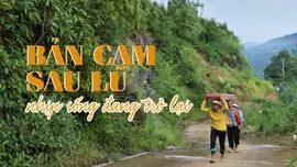 Bản Cam sau lũ - nhịp sống đang trở lại