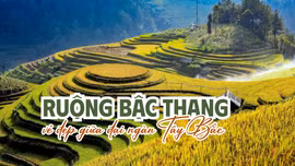 Ruộng bậc thang - vẻ đẹp giữa đại ngàn Tây Bắc