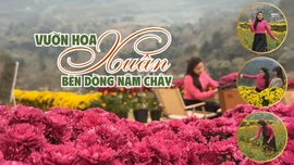 Vườn hoa xuân bên dòng sông Chảy