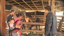 Sau những chương trình hỗ trợ, người dân sống ra sao?