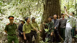 Khu Bảo tồn thiên nhiên Nà Hẩu chủ động phòng chống cháy rừng trong cao điểm nắng nóng