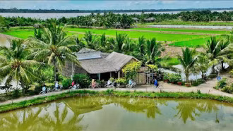 Giải thưởng Du lịch ASEAN 2025 gọi tên điểm du lịch cộng đồng Cồn Chim