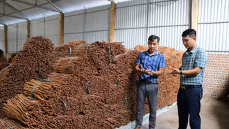 Bảo Yên lồng ghép, sử dụng hiệu quả nguồn lực đầu tư cho công tác giảm nghèo