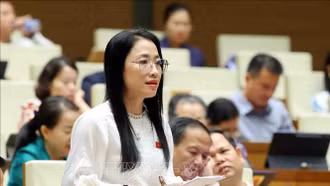 Quốc hội khóa XV thảo luận về việc tiếp tục giảm thuế VAT 2% đến hết năm 2026