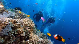 Nha Trang lọt top các điểm đến 'du lịch chậm' hàng đầu châu Á