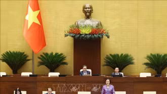Ngày 15/5, Quốc hội họp toàn thể tại hội trường, thảo luận một số dự án luật