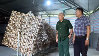 Cựu chiến binh phường Âu Lâu bản lĩnh trên mặt trận kinh tế