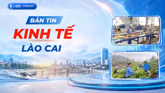 Bản tin kinh tế Lào Cai ngày 24/10