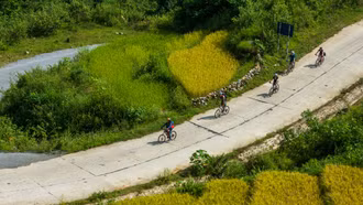 Giải đua xe đạp địa hình "Vút bay trên sóng lúa vàng" sắp khởi tranh tại Mường Bo