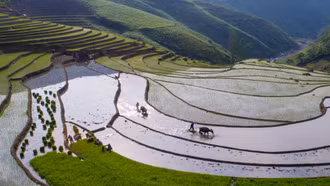 Ruộng bậc thang Dền Sáng vào mùa cấy