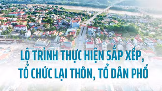 Lộ trình thực hiện sắp xếp, tổ chức lại thôn, tổ dân phố