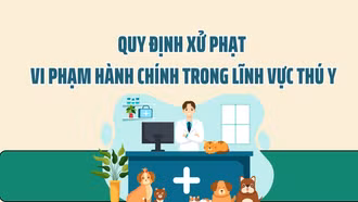 Quy định xử phạt vi phạm hành chính trong lĩnh vực thú y