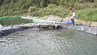 Khi niềm tin mở lối hoàn lương