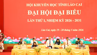 Phiên thứ nhất Đại hội đại biểu Hội Khuyến học tỉnh Lào Cai lần thứ nhất, nhiệm kỳ 2026 - 2031
