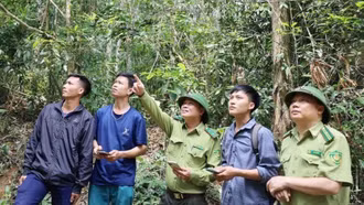 Tăng cường tuyên truyền công tác phòng cháy chữa cháy rừng