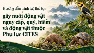 Hướng dẫn trình tự, thủ tục gây nuôi động vật nguy cấp, quý, hiếm và động vật thuộc Phụ lục CITES