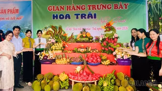 Cùng nông dân kiến tạo giá trị mới từ nông nghiệp