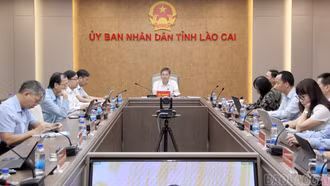 Lào Cai tham dự phiên họp về phát triển khoa học, công nghệ, đổi mới sáng tạo, chuyển đổi số và Đề án 06