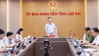 Lào Cai đẩy nhanh hoàn thiện cơ sở dữ liệu đất đai