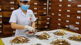Vị thuốc cổ truyền phải công bố tiêu chuẩn chất lượng trước khi lưu hành
