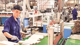 Lào Cai đẩy mạnh công tác phát triển Đảng trong doanh nghiệp ngoài khu vực nhà nước