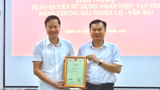 Trao quyền sử dụng Nhãn hiệu tập thể “Bánh chưng dài Nghĩa Lộ - Yên Bái”