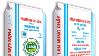 LAFCO: Từ lợi thế apatit đến động lực phát triển kinh tế địa phương Lào Cai