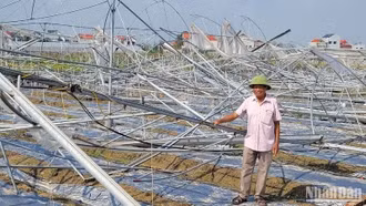 Những bài học kinh nghiệm phục hồi sau bão Yagi