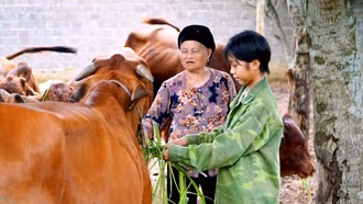 Bảo Yên: Lan tỏa ý chí, nghị lực thoát nghèo