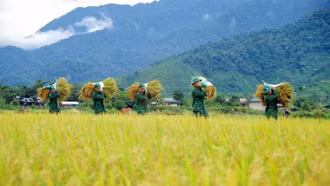 Các tổ chức quần chúng BĐBP góp sức giảm nghèo bền vững nơi biên giới, hải đảo