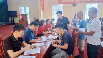 Hưng Khánh chi trả gần 3,5 tỷ đồng hỗ trợ người chăn nuôi bị thiệt hại do dịch tả lợn châu Phi