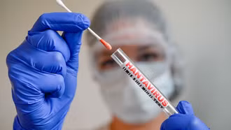 Virus Hanta khác COVID-19 như thế nào?