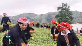 Lào Cai: Từ chính sách đến cuộc sống – Những đổi thay ở vùng đồng bào dân tộc thiểu số