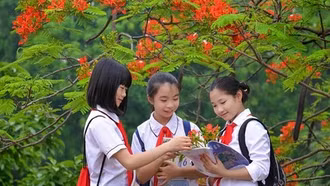 Thủ tướng chỉ đạo 3 vấn đề nóng trong giáo dục