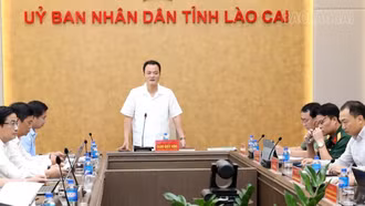 Rà soát tiến độ chuẩn bị Hội nghị xúc tiến đầu tư, thương mại lĩnh vực nông nghiệp