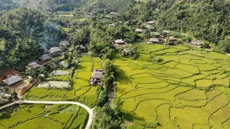 Nghĩa Đô - sức sống miền suối sạch, đồng xanh