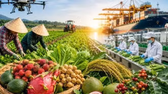 Chỉ đạo, điều hành của Chính phủ, Thủ tướng Chính phủ nổi bật tuần 10-16/10/2026