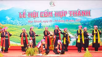 Có hẹn với mùa cốm nơi vùng cao Hợp Thành
