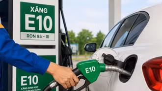 Những dòng xe nào tương thích xăng E10?