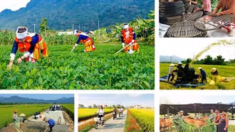 Kế hoạch tổng kết Chương trình mục tiêu quốc gia xây dựng nông thôn mới giai đoạn 2021 - 2025