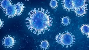 Đức ghi nhận một ca nhiễm virus Borna hiếm gặp, đặc biệt nguy hiểm