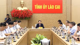 Lào Cai tham dự Hội nghị trực tuyến tập huấn chuyên đề về ứng dụng trí tuệ nhân tạo và phát triển kinh tế số