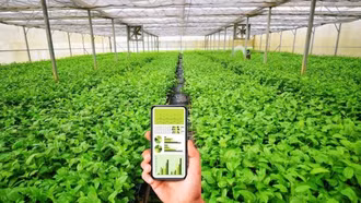 Dự kiến cơ chế sử dụng ngân sách nhà nước hỗ trợ hợp tác xã, liên hiệp hợp tác xã
