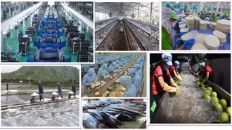 Kinh tế tư nhân là một động lực quan trọng nhất - Quan điểm đúng đắn, sáng tạo của Đảng ta