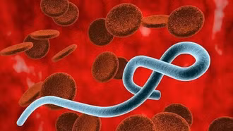 Bộ Y tế bổ sung 6 chủng mới vào phác đồ điều trị bệnh do virus Ebola